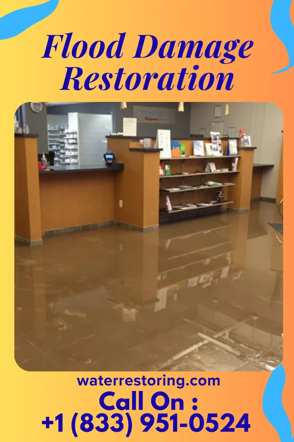 Flood Damage Restoration in Elberta, PA