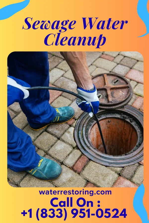 Sewage Water Cleanup in Elberta, PA