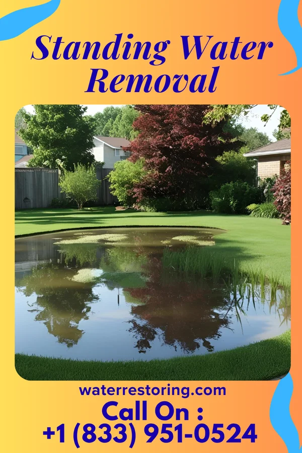 Standing Water Removal in Elberta, PA